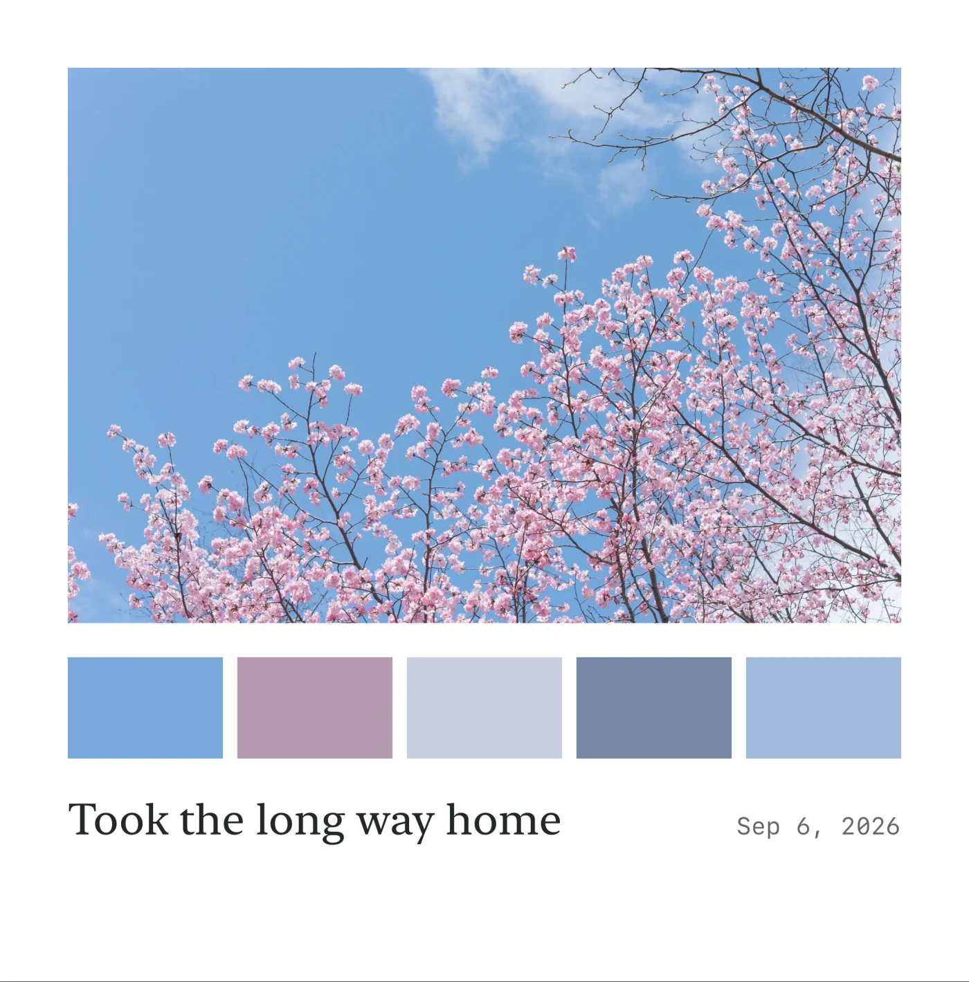 Pink spring blossoms against a blue sky, with a matching palette and a personal caption.